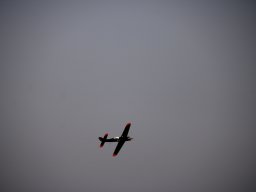 fliegen0903 36